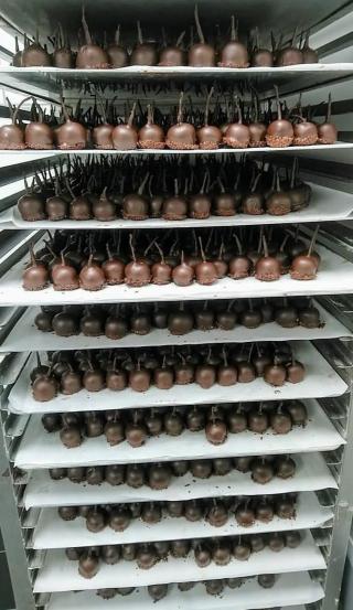 Boulangerie Damien Benetot 0