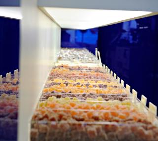 Boulangerie Fabrice Gillotte Dijon 0