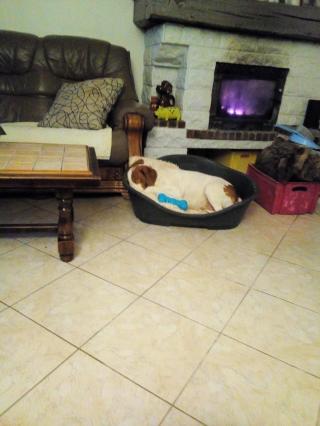 Boulangerie Cappe Jean-Pierre 0