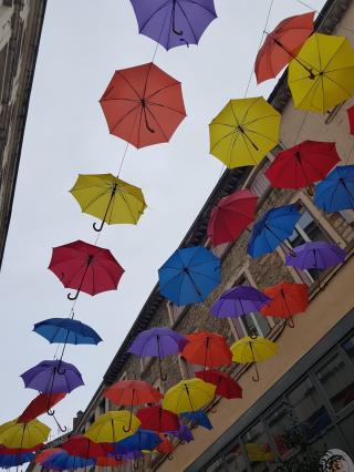 Boulangerie La Maison des Co'pains 0