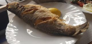 Boulangerie Le carmel 