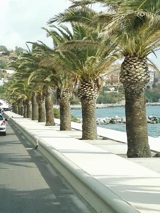 Boulangerie Boulangerie Carlotti Emile et Michel 0
