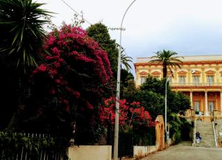 Boulangerie Mattera Boulangerie 0