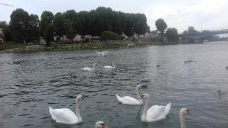 Boulangerie Boulangerie Pâtisserie Rouget 0