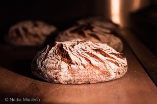 Boulangerie Chez Renard, boulangerie bio et gourmande 1