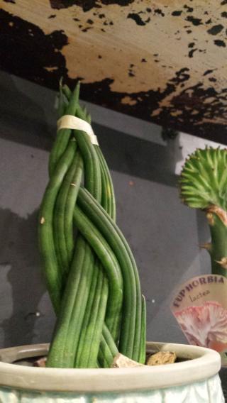 Boulangerie Boulangerie Saint Maclou 0