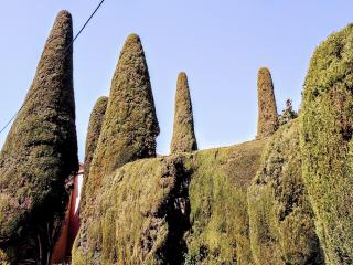 Boulangerie Boulangerie Jr 0