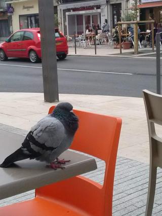 Boulangerie la mie CÂLINE - Atelier 