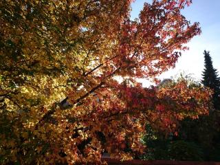 Boulangerie Fournil de Montgeon 0