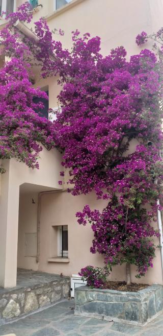 Boulangerie Boulangerie Miomo 2