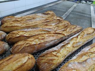 Boulangerie LE FOURNIL SOMMIEROIS 0