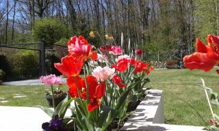 Boulangerie COTE DRIVE L'INSTANT PAIN CYRIL AVERT CO 0