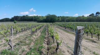 Boulangerie Pâtisserie Brémaud 0