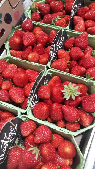 Boulangerie Les Délices de Borriglione 0