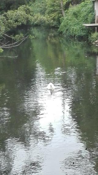 Boulangerie Chapelain Adamy Carole 1