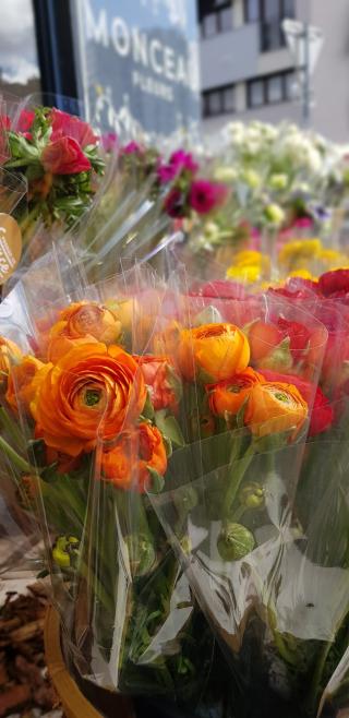 Boulangerie Boulangerie Artisan Pâtisserie 0