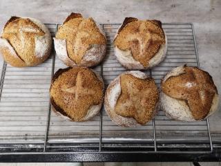 Boulangerie Aux Délices - Olivier Lesur 1