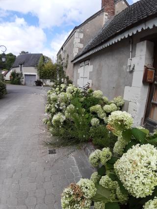 Boulangerie Boulangerie Des Roses 1