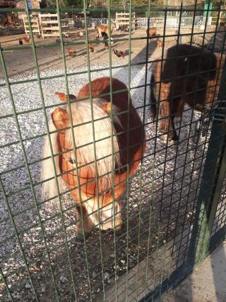 Boulangerie Artisan boulanger 