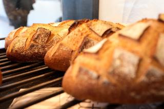 Boulangerie LE FOURNIL 0