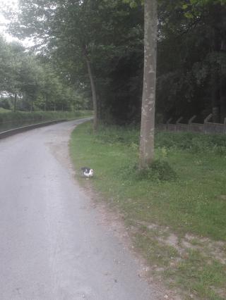 Boulangerie Sacquepee Renaud 0