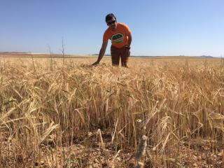 Boulangerie Le Fournil de la Baleine 0