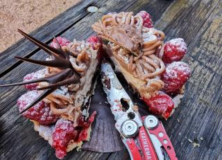 Boulangerie Au Four à Bois 0