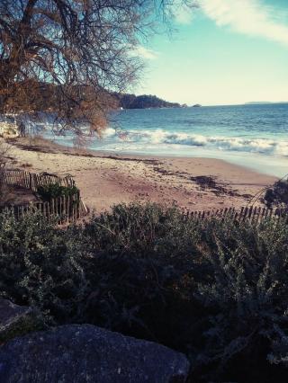 Boulangerie Boulangerie patisserie rayol cavalières 2