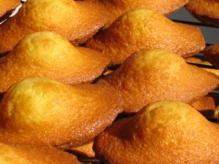 Boulangerie Lanven Sarl madeleine-kerys 0