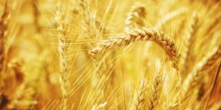 Boulangerie Touflet Boulanger Saint-Denis 0