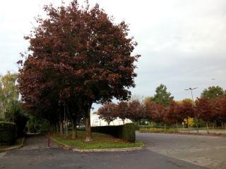 Boulangerie Boulangerie des écoles Greugny Eric 0