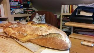 Boulangerie Artisan Boulanger David Pâtissier 1