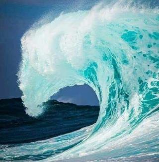 Boulangerie Gramme 0