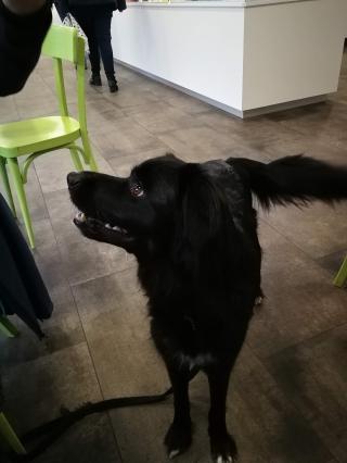 Boulangerie Pâtisserie La Gourmandise 0