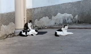 Boulangerie Wenger Joëlle 0