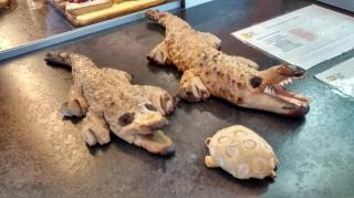 Boulangerie boulangerie Mousset , Les Miettes de Pain 2