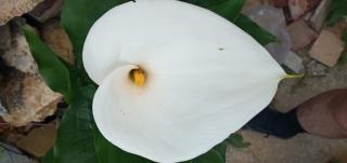 Boulangerie Passionnement Gourmand 0