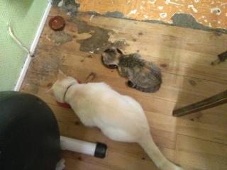 Boulangerie Roustain Michel 0