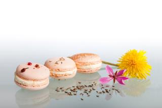 Boulangerie Pâtisserie Willy 1