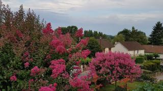Boulangerie Le Pain de Peyrignac Madel Sarl Sabrina Et Nicolas 0
