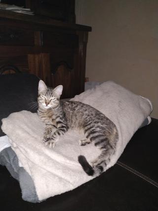 Boulangerie Maison Barrailler 0