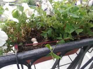 Boulangerie Sarl Boulangerie Baud Adrien 0