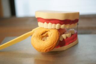 Boulangerie BAGELSTEIN • Bagels & Coffee shop 0