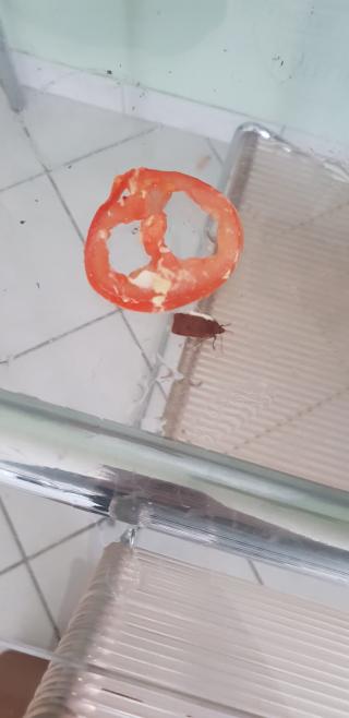 Boulangerie L'Atelier 0