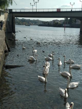Boulangerie Le Fournil Saint Leonard 0