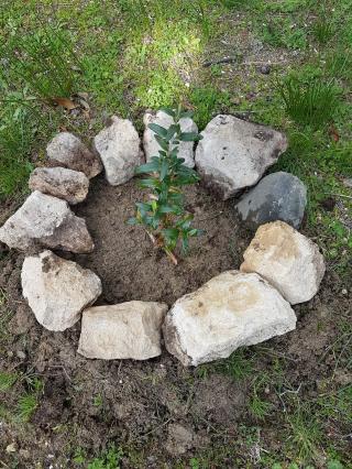 Boulangerie Les Délices D'amalou 0