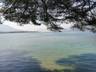 Boulangerie La P'tite Boulangerie de Charlotte 0