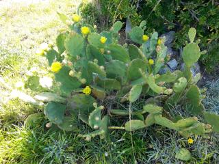 Boulangerie Richard et Nathalie S.A.R.L. 0