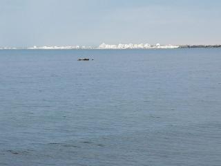 Boulangerie La Boulange du Pont Tournant 0