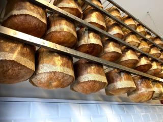 Boulangerie Fournil Éphémère L' Atelier 1